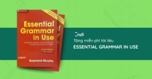 Essential Grammar in Use